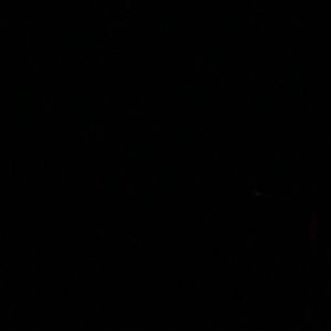 Meet your Posher, Donovan